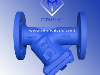 ETM Y Strainer