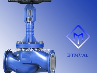 ETM Long Life Bellows Globe Valve