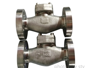 Lift Check Valve Class 1500Lb, F316 Body, 316 Trim, DN40,BC, RF