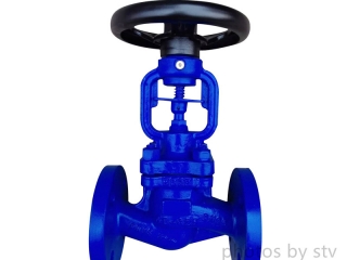 DIN 3356 Bellows Seal Globe Valve,GS-C25 Body ,DN25,PN16