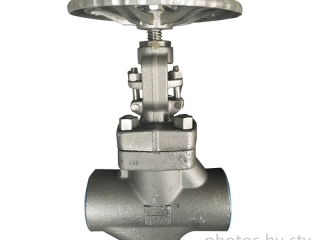 ASTM A105 Globe Valve, Bolt Bonnet ,800 LB, 3 Inch, SW