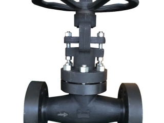 API 602 Integral Flanged Forged Globe Valve, Psb, A105N, 2500LB, 2 Inch