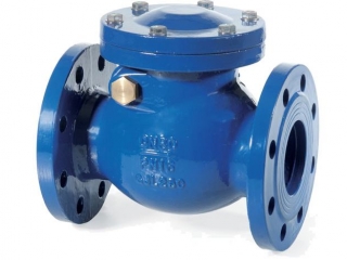 DIN Cast Iron Swing Check Valve