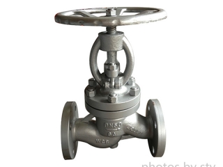 Carbon Steel Globe Valve,DN50,PN64,Flange End