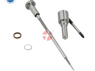 Common Rail Injector Repair Kits 0 445 110 250